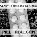 Viagra Professional Set levitra1